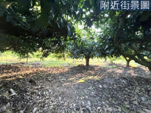 楠西農地-1