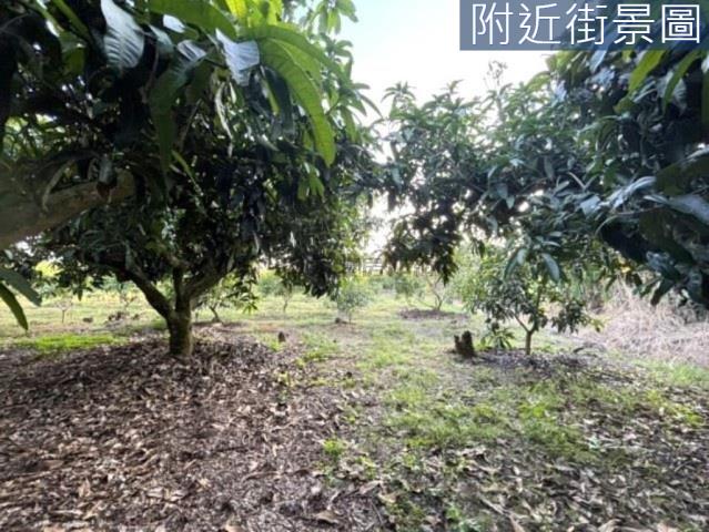 楠西農地-3