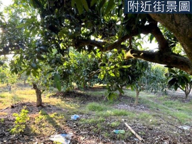 楠西農地-5