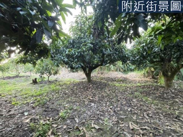楠西農地-6