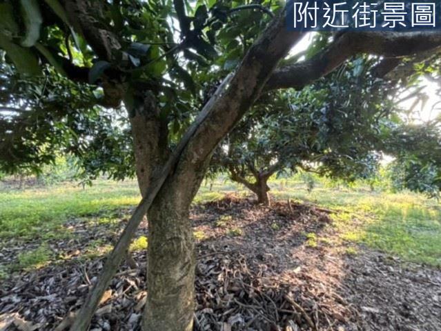 楠西農地-8