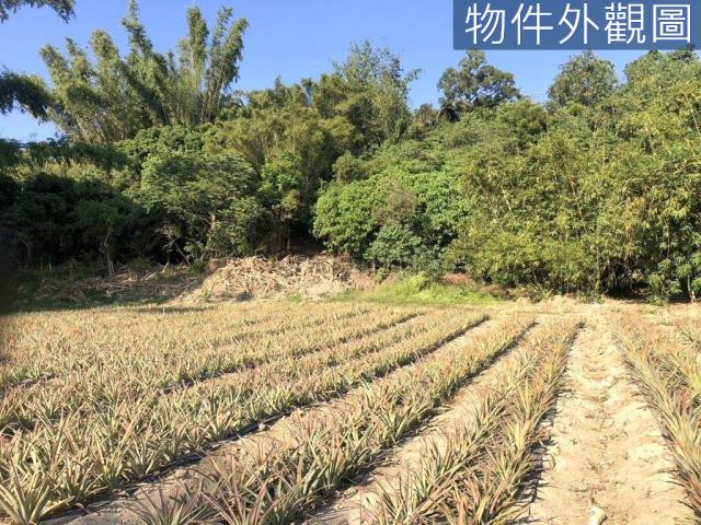 台南農地-9