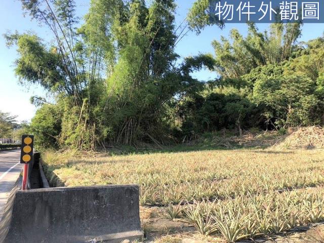 台南農地-3