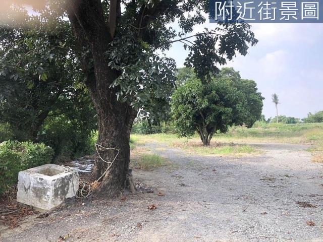 台南農地-2