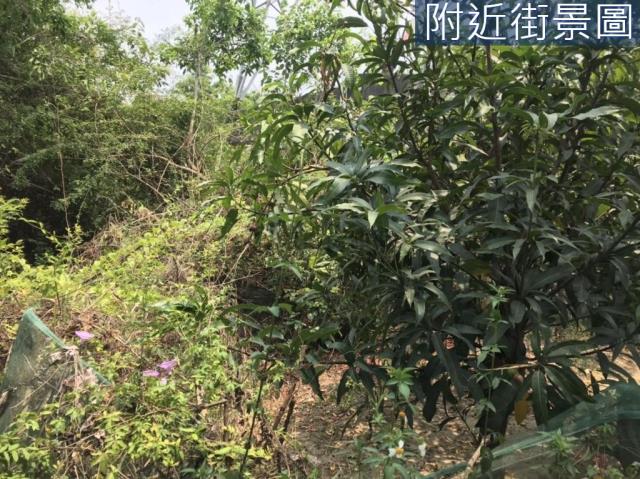 台南農地-1