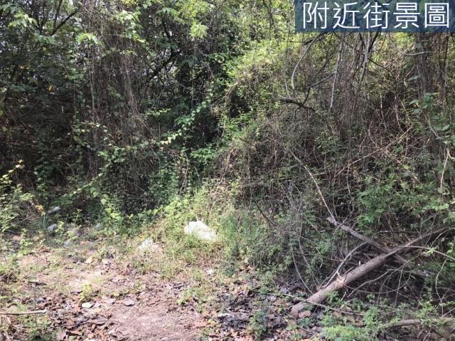 台南農地-2