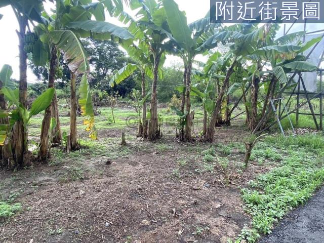 永康農地-2
