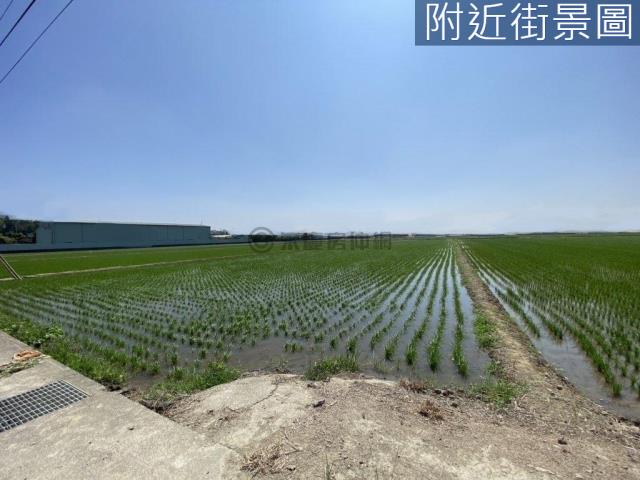 歸仁農地-6