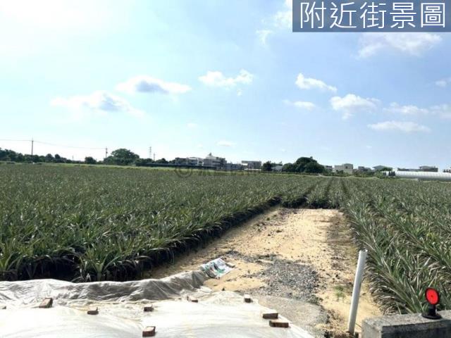台南農地-4