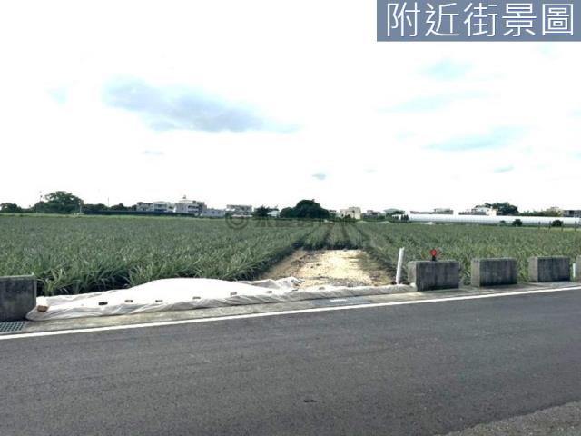 台南農地-6