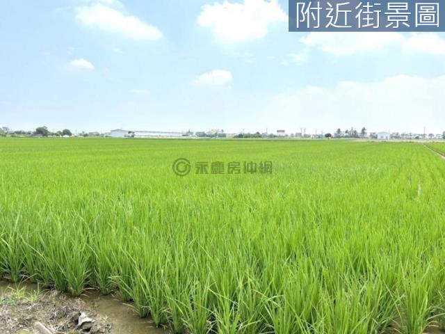 台南農地-2