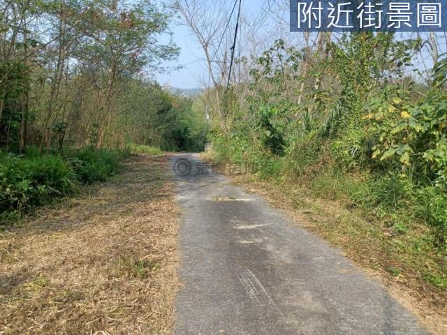 台南左鎮農地-2