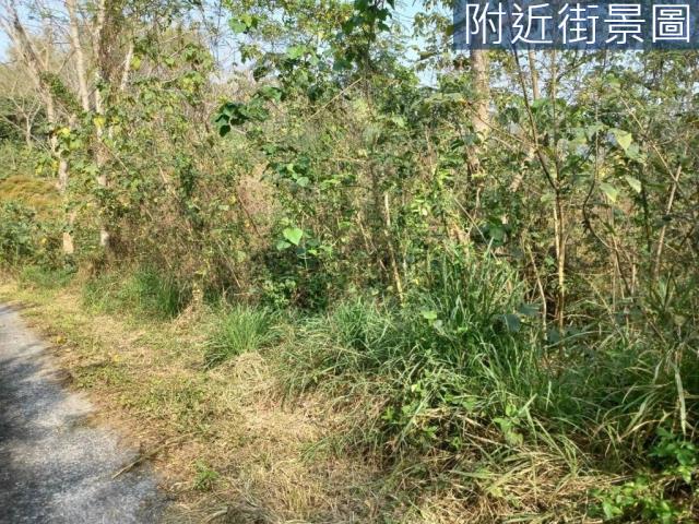 台南左鎮農地-4