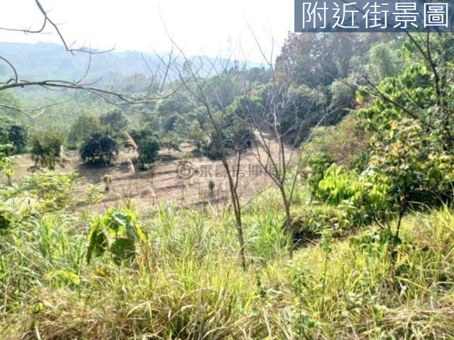 台南左鎮農地-11