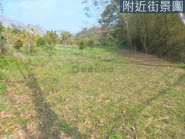 台南左鎮農地-0