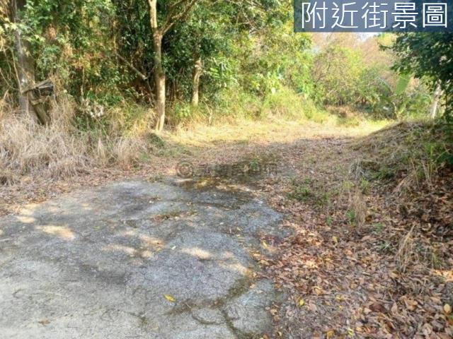 台南左鎮農地-1