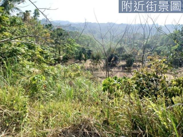 台南左鎮農地-2