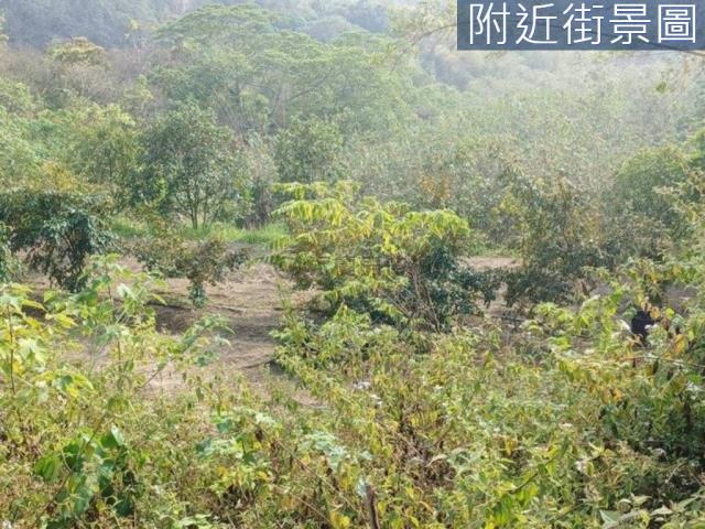 台南左鎮農地-3