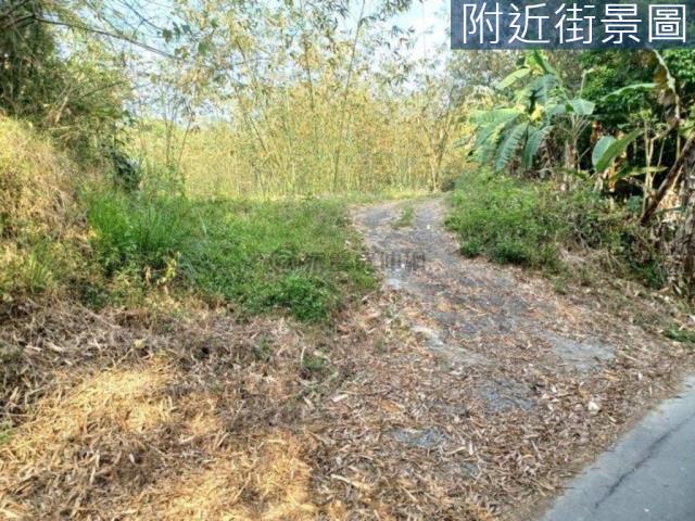 台南左鎮農地-5