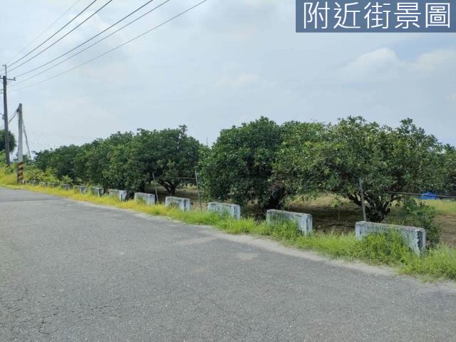 台南麻豆農地-9