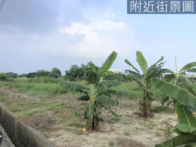 台南新化農地-1
