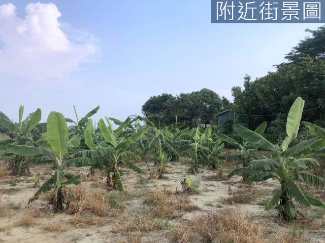 台南新化農地-7