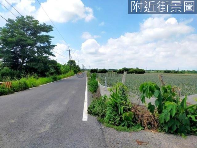 台南新市農地-9