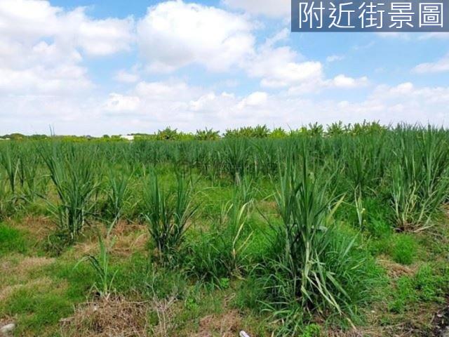 台南新市農地-12