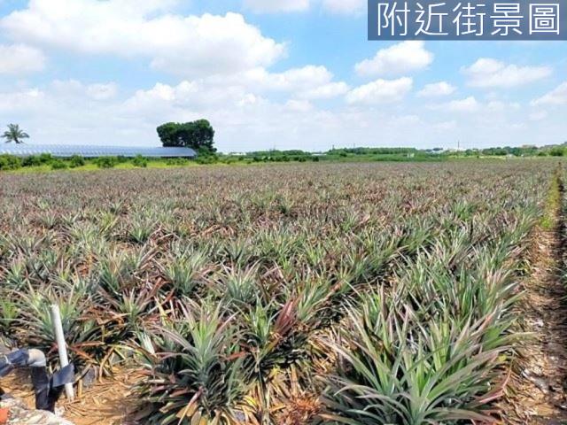 台南新市農地-14