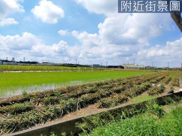 台南新市農地-4