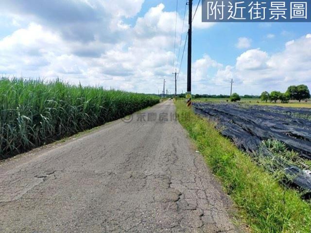 台南新市農地-7
