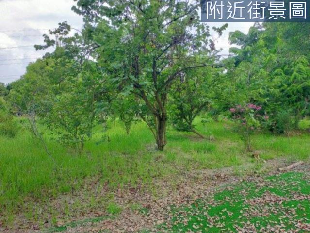 台南新市農地-3