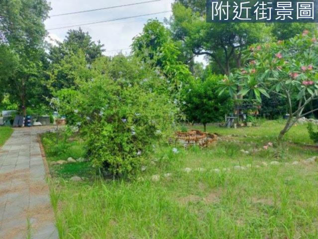 台南新市農地-5