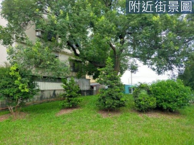 台南新市農地-6