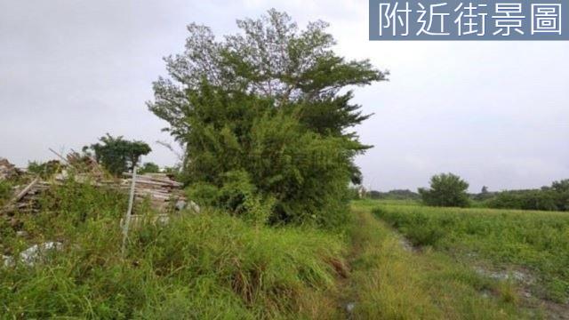 台南新市農地-0