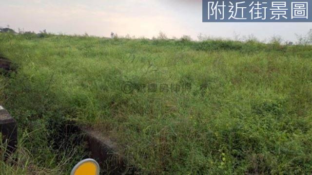 台南新市農地-5
