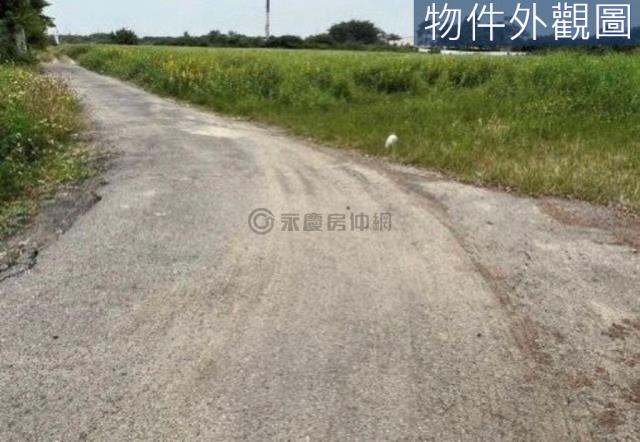 台南新市農地-0