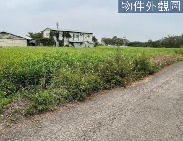 台南新市農地-1