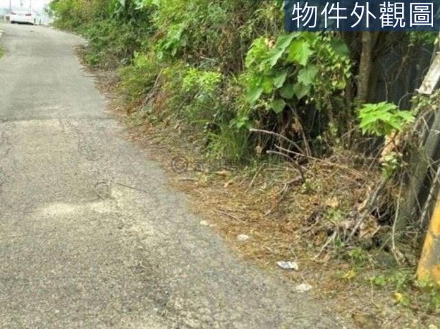 台南新市農地-2