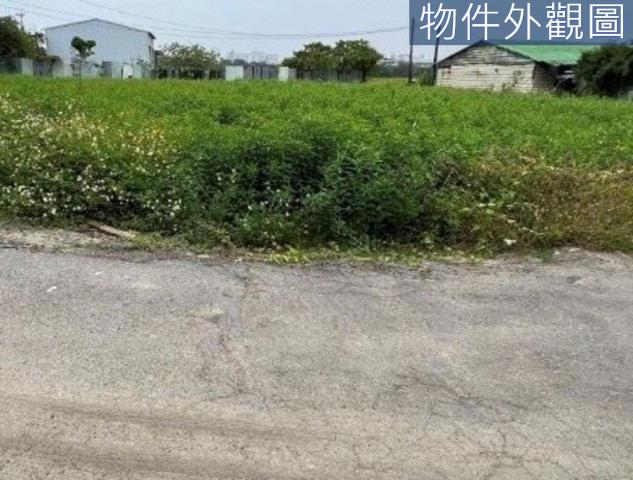 台南新市農地-4
